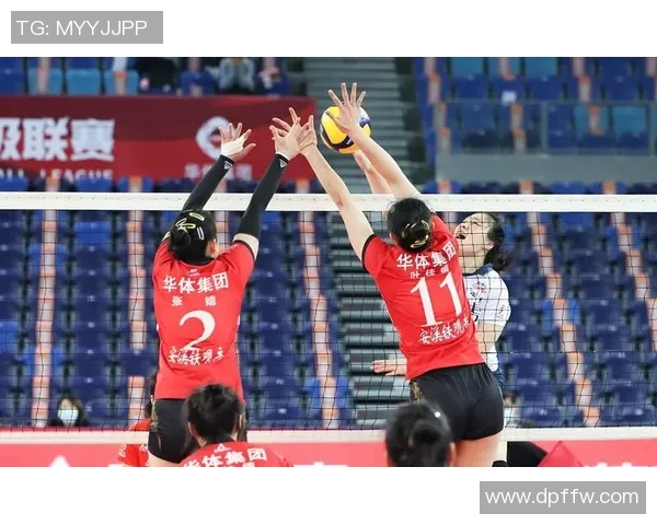 深圳排球队在全国排球团队协作排行榜中荣获第十名的佳绩分析